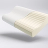 Latex Ergo Sensus doorsnede